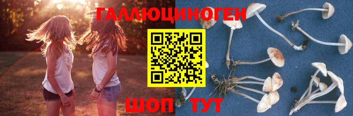 Галлюциногенные грибы мухоморы  Вход с VPN  Ногинск 